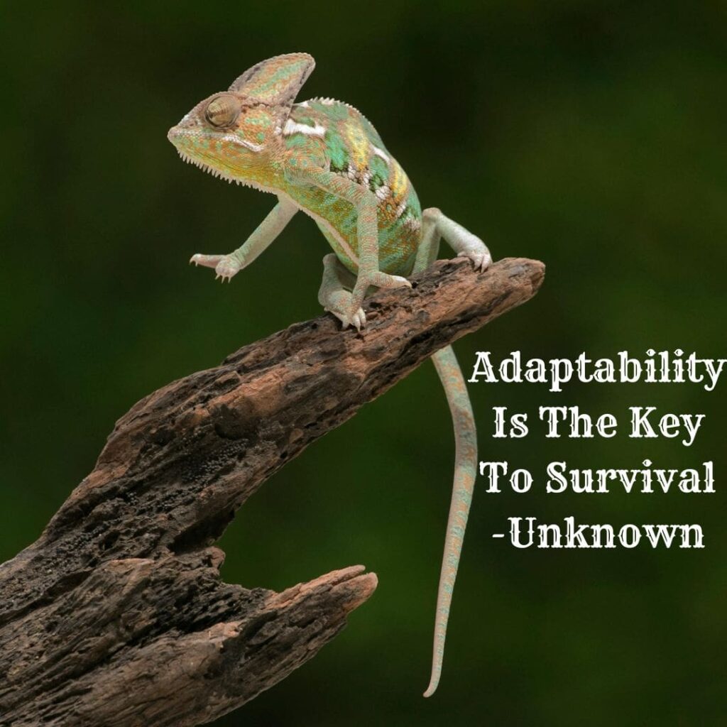 How to avoid being too rigid or too flexible In 2026