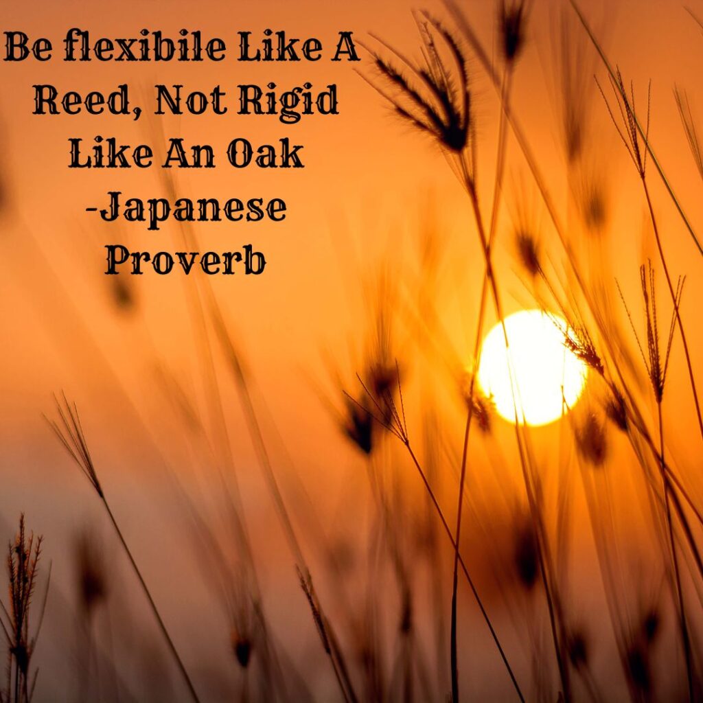 How to avoid being too rigid or too flexible In 2026